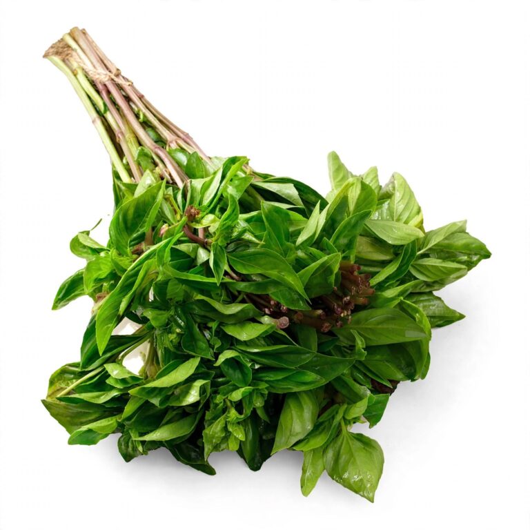 Albahaca Fresca