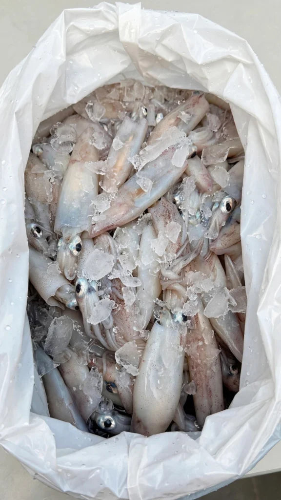 Calamar Congelado 1 kg