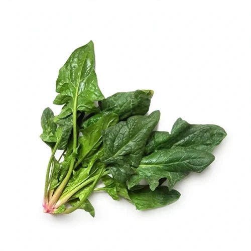 Espinaca Fresca