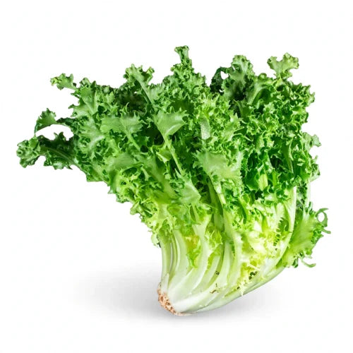 Lechuga Escarola Fresca por Pieza