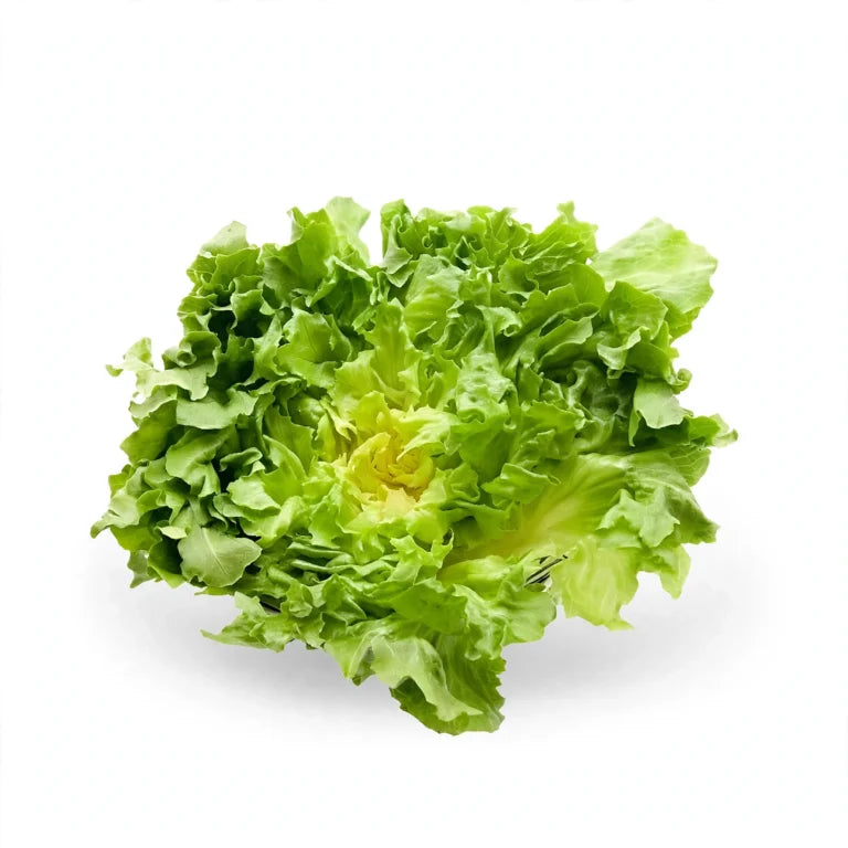 Lechuga Japonesa Fresca por Pieza