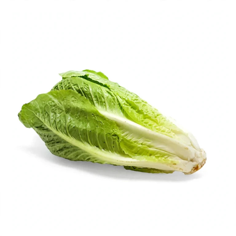 Lechuga Larga Fresca por Pieza