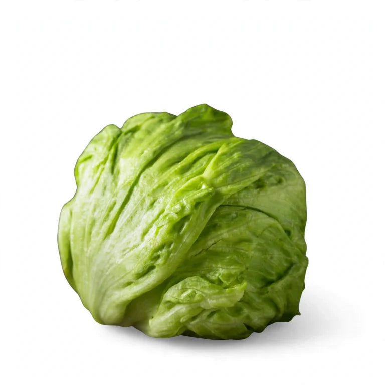 Lechuga Romana Fresca por Pieza