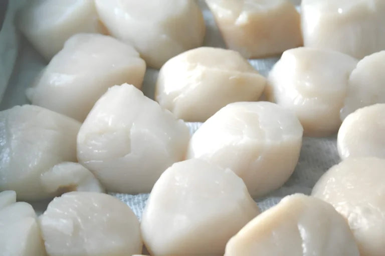Callo de Hacha: What It Is, Types & How to Cook It | Friizco