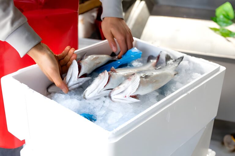 ¿Cómo saber si el pescado está fresco? 7 señales fáciles de reconocer