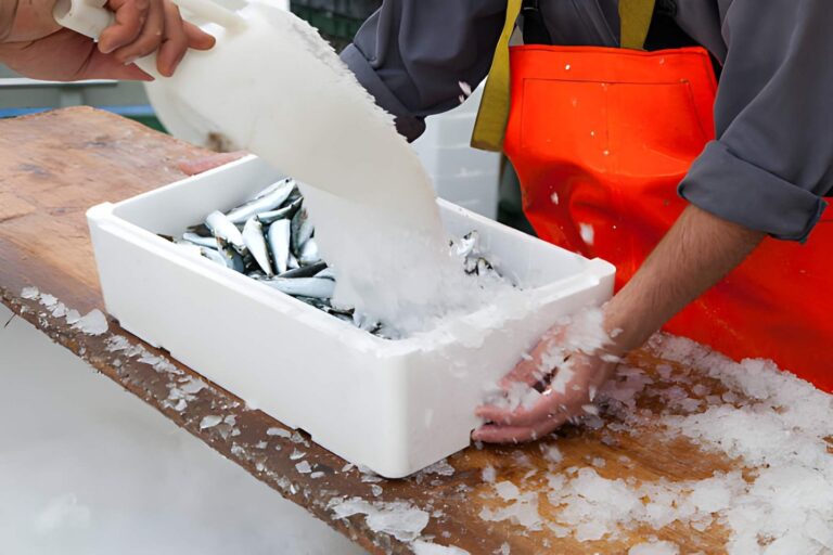Pescado fresco vs congelado: diferencias y cuál elegir