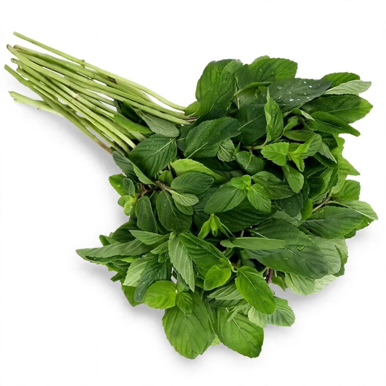 Hierbabuena Fresca