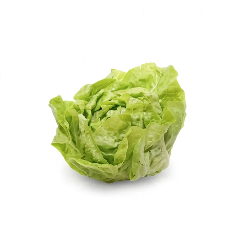 Lechuga Francesa Fresca por Pieza