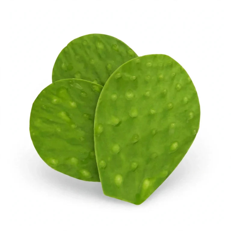Nopal sin Espina Fresco 1 kg