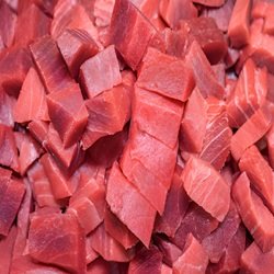 Cubitos de Atun