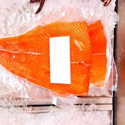 Salmon Fresco